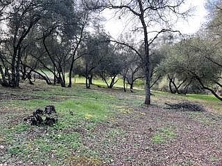 326 Mill Ct Angels Camp, CA 95222  | Land/Lot