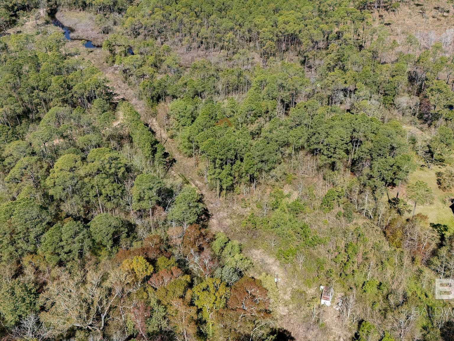 0 Michigan Ave #16-20 Coden, AL 36523  | New build