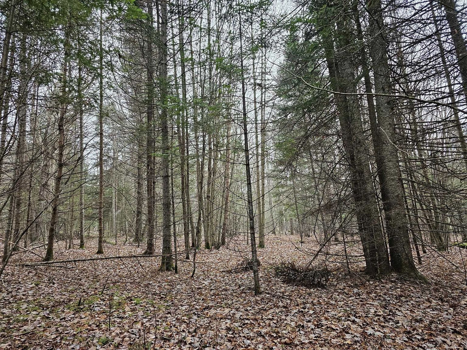 461 Hill Rd #MAP Milan, NH 03588  | Land/Lot