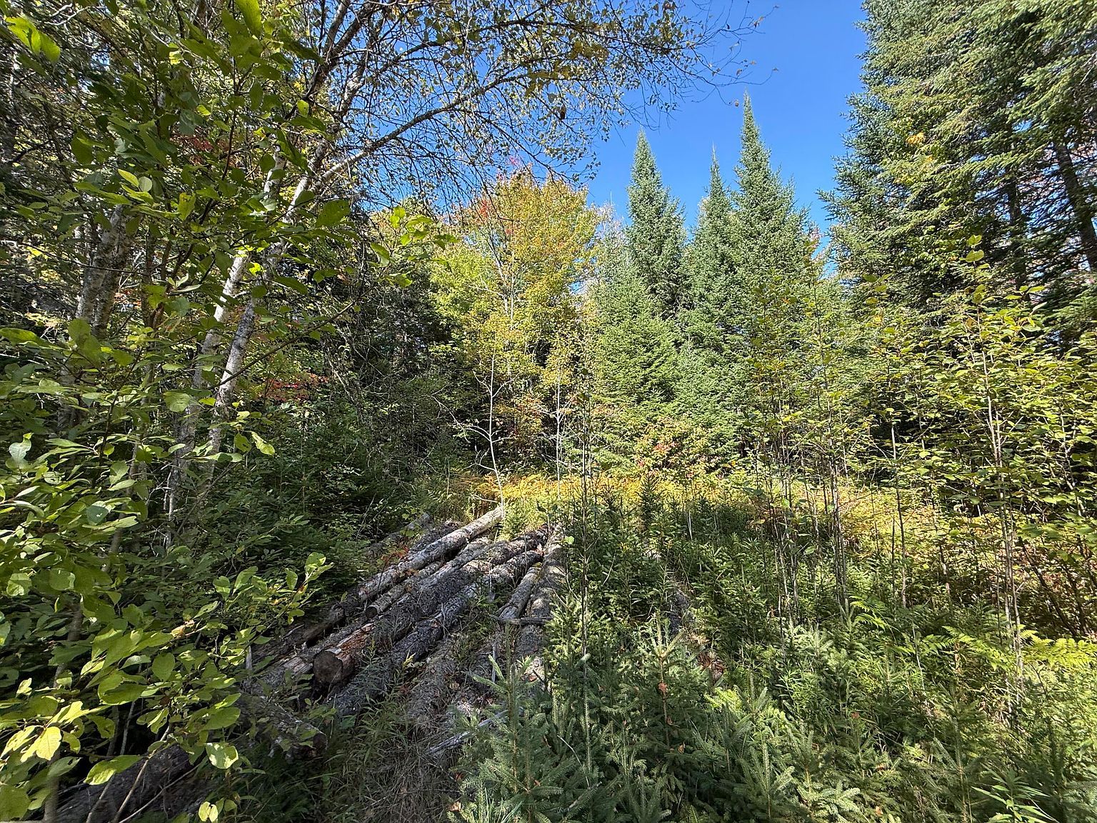 M3-L392 Silver Ridge Rd Kingman, ME 04451  | Land/Lot