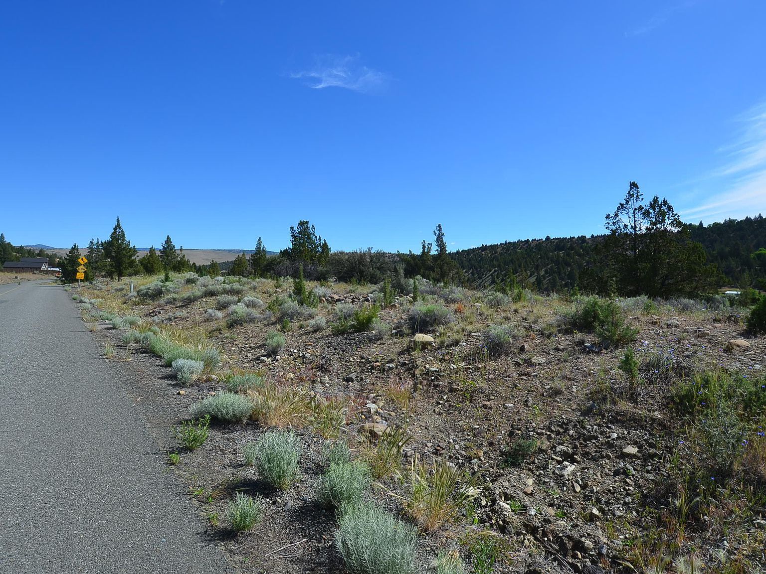 216 Elkview Dr Canyon City, OR 97820  | Land/Lot