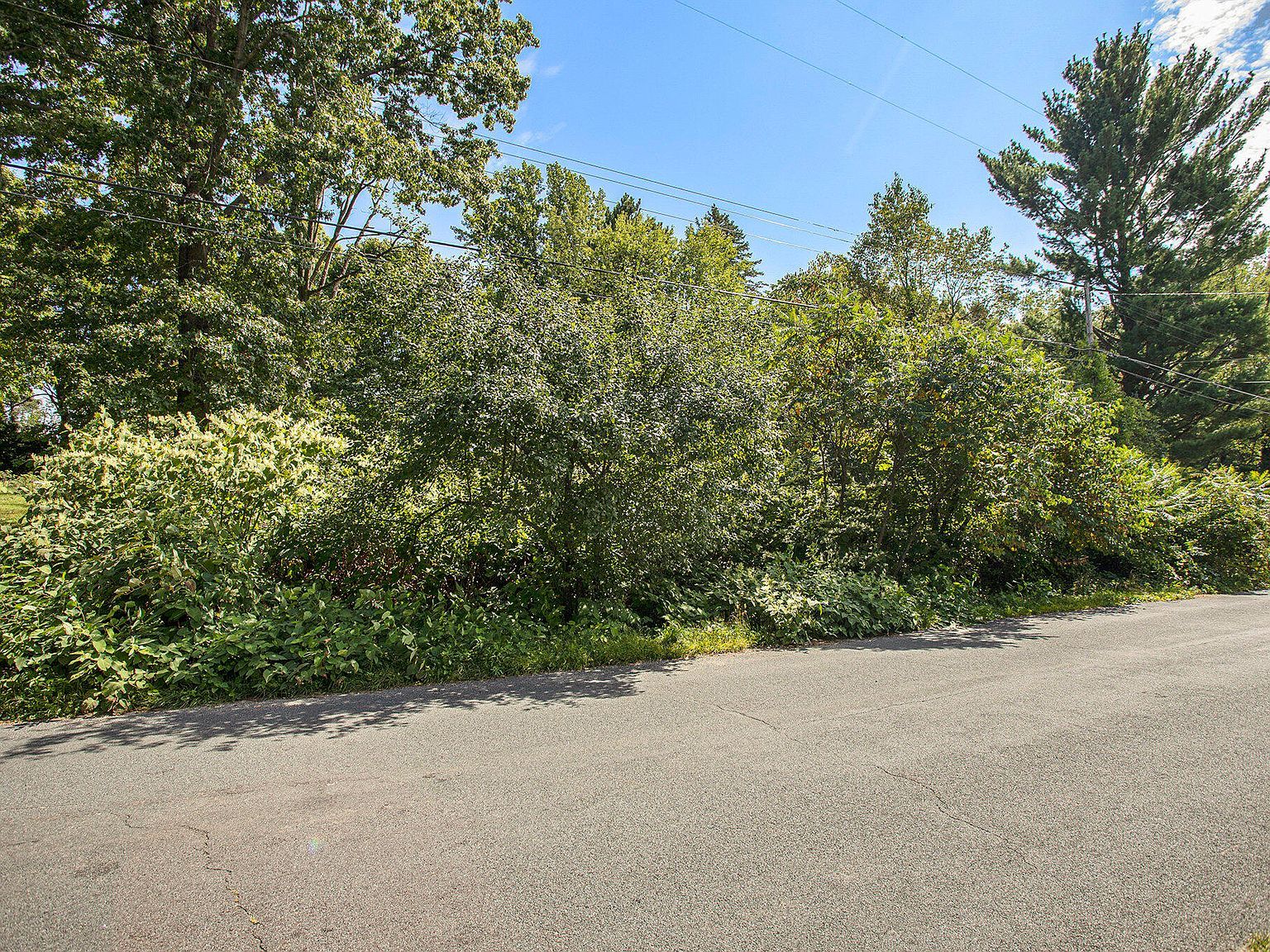 Ferndale Ave Kalamazoo, MI 49006 | Land/Lot