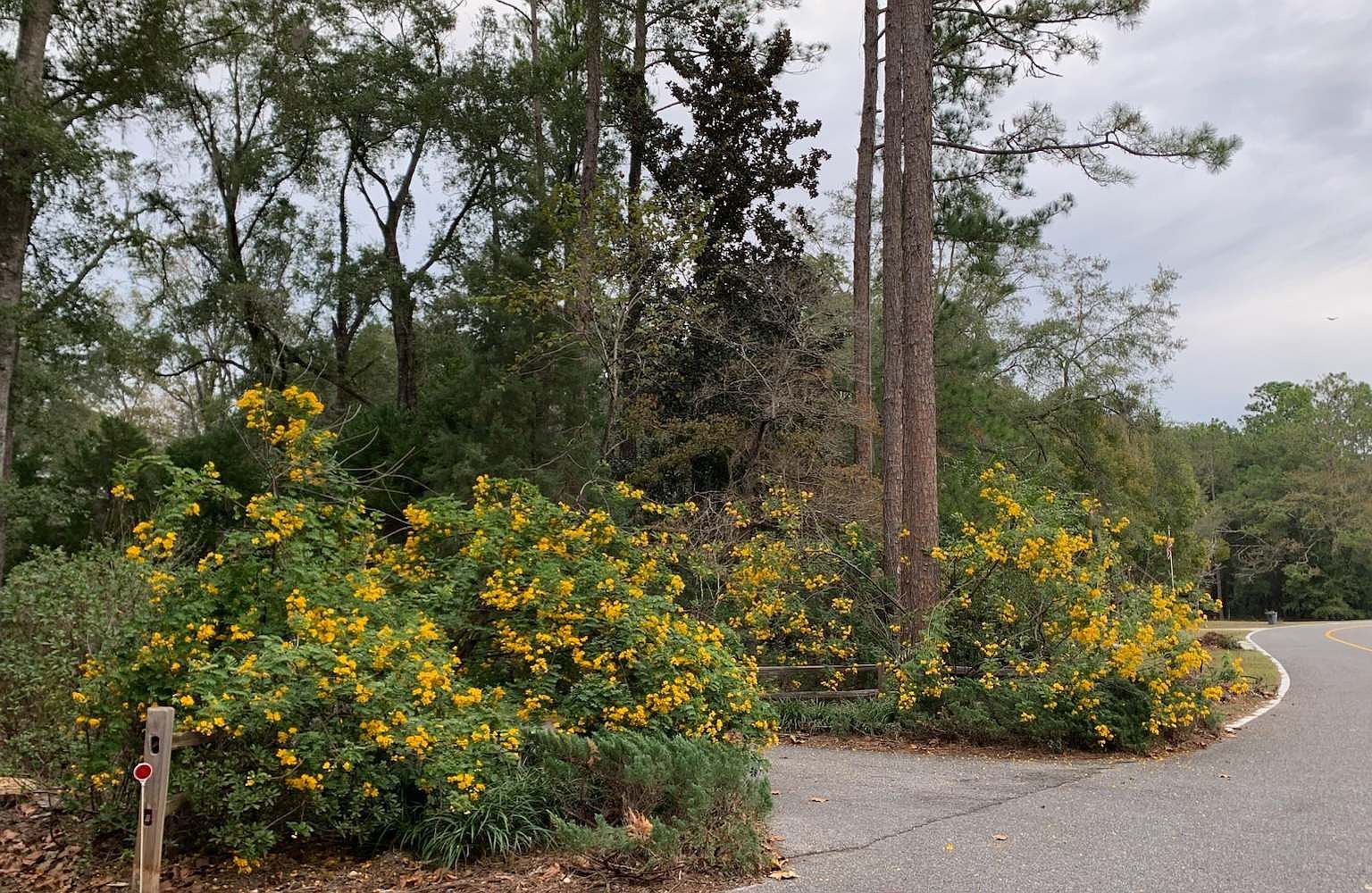 10283 Riverwood Dr Live Oak, FL 32060  | Single Family