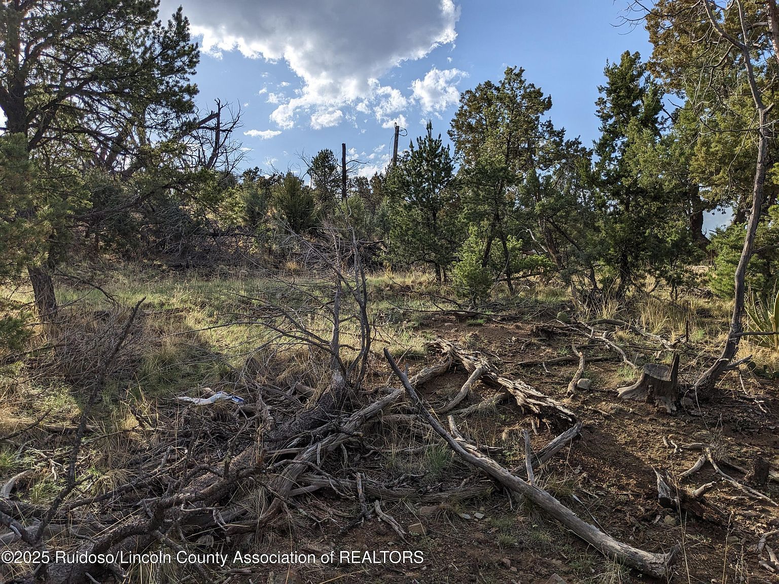 165-166 Corvo Crista #2 Alto, NM 88312  | Land/Lot