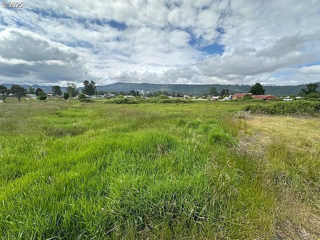 1 Springer St #4 Cathlamet, WA 98612  | Land/Lot