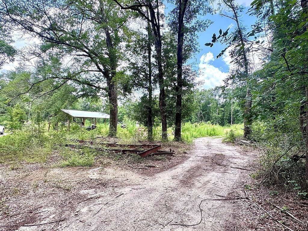 350 Forest Hill Cemetary Rd Geneva, AL 36340 | Land/Lot