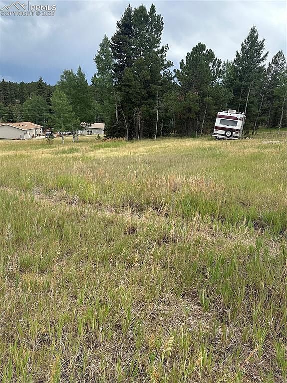 17 Deer Ridge Trl #33 Florissant, CO 80816  | Land/Lot
