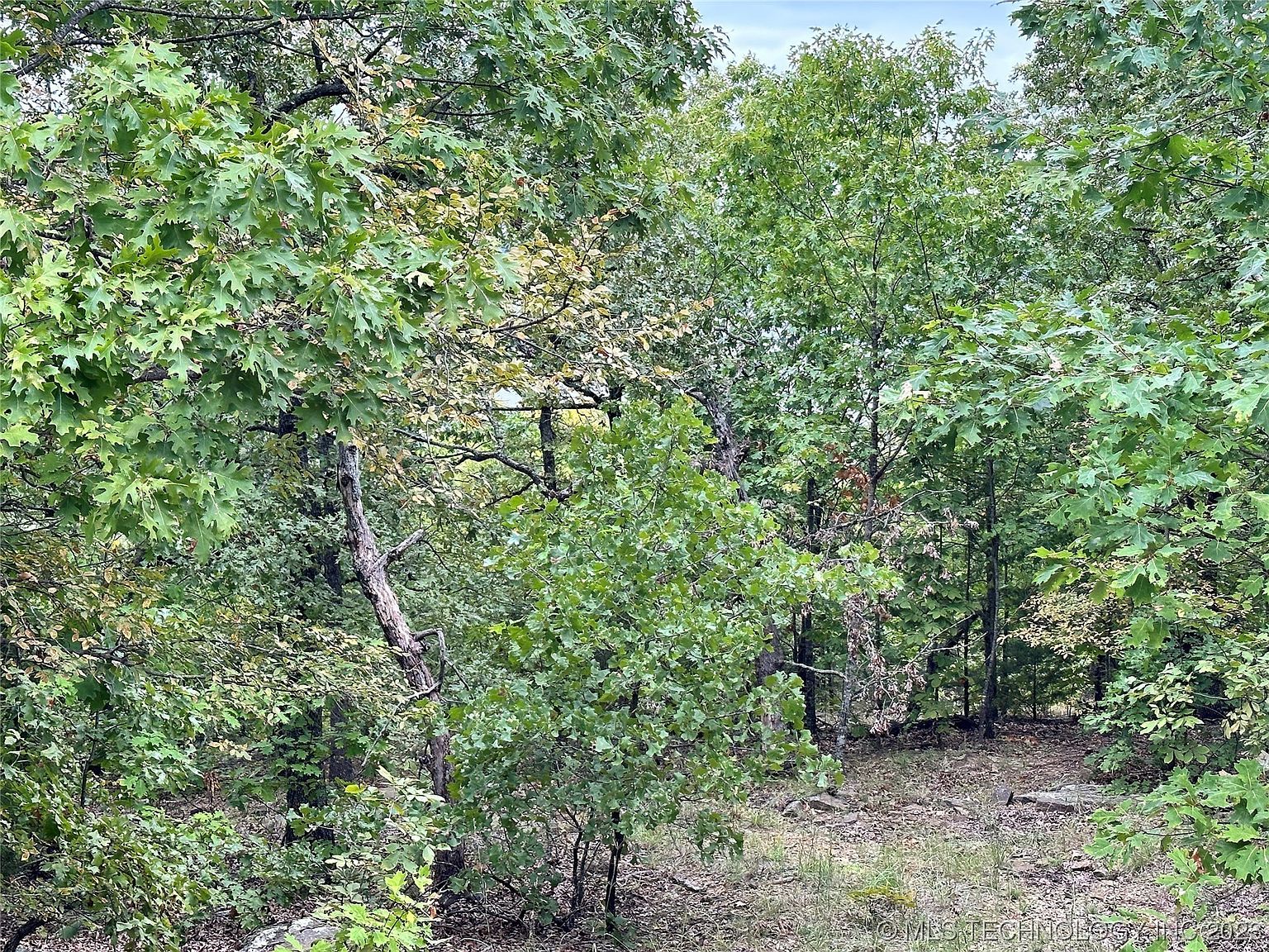 Hunter Rd Stigler, OK 74462  | Land/Lot