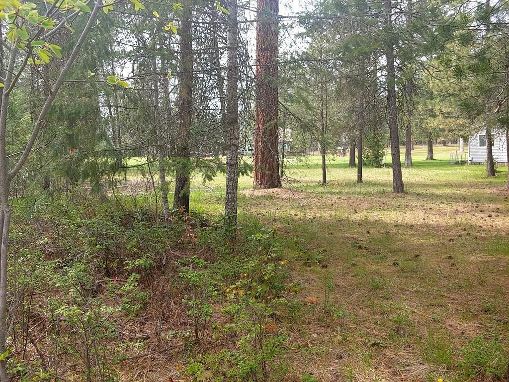 183 E Trappers Loop Chewelah, WA 99109  | Land/Lot