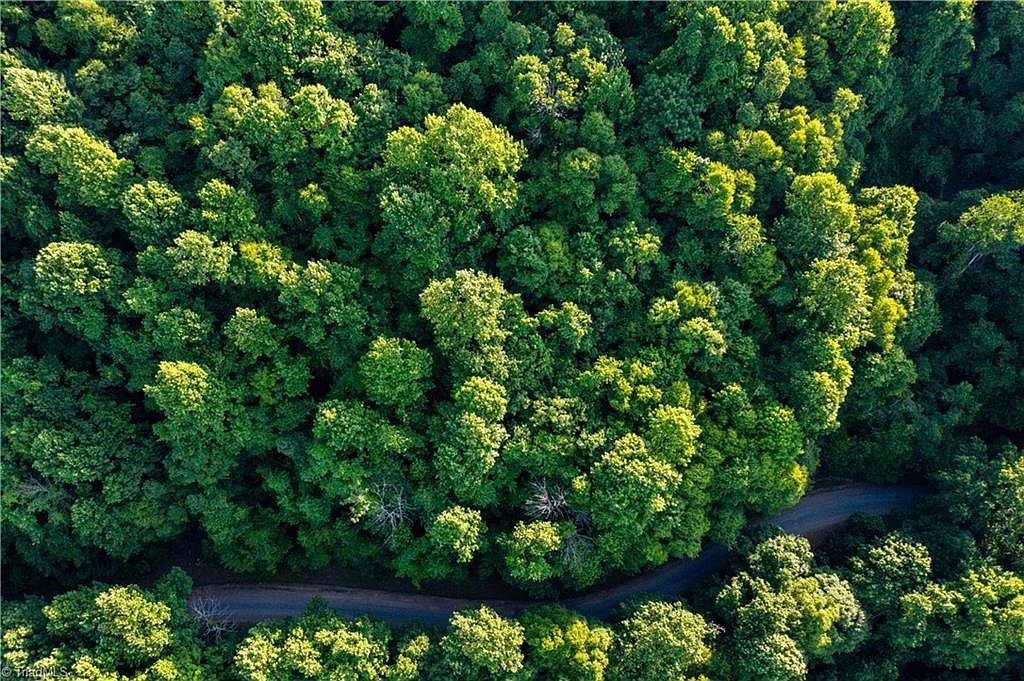 66 White Tail Trl West Jefferson, NC 28694  | Land/Lot