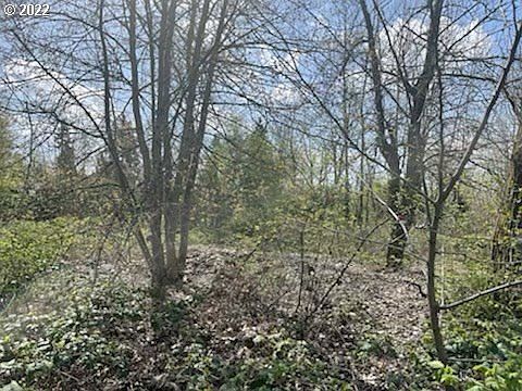 362 NE Marine Dr Portland, OR 97211 | Land/Lot