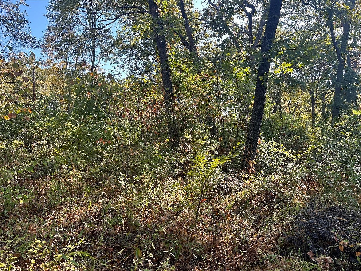 185 Natchez Trl Mabank, TX 75156 | Land/Lot