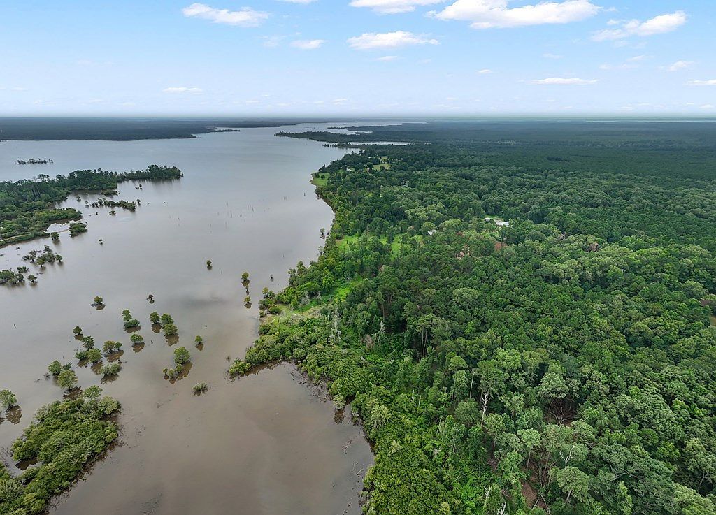 10625 County Road 476 Broaddus, TX 75929 | Land/Lot