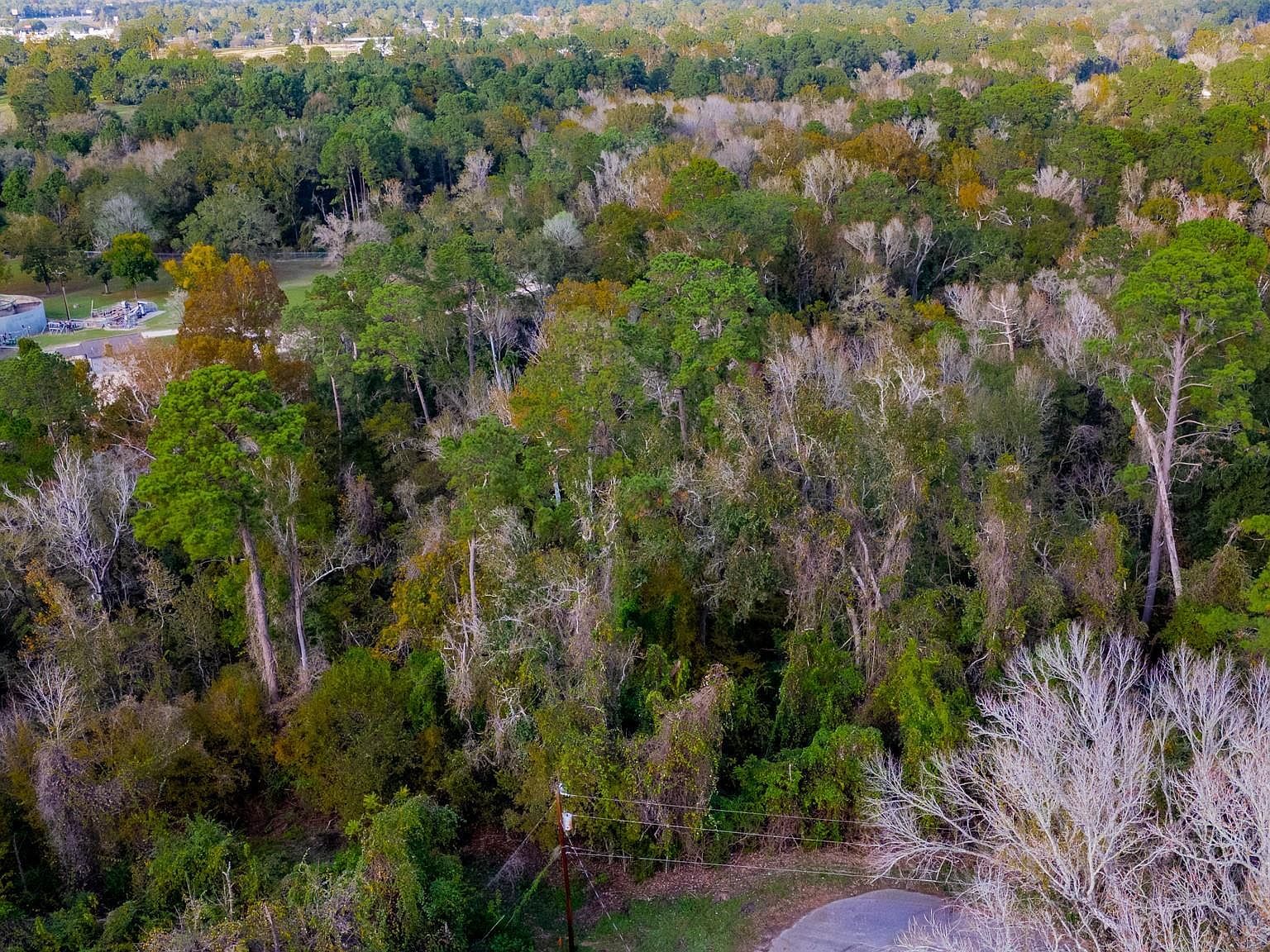 LOT 53 Cardinal Dr Lot 53 Livingston, TX 77351  | Land/Lot