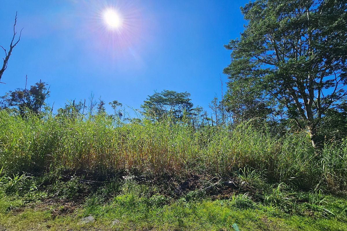 16-1920 36th Ave LOT 19 Kurtistown, HI 96760  | Land/Lot