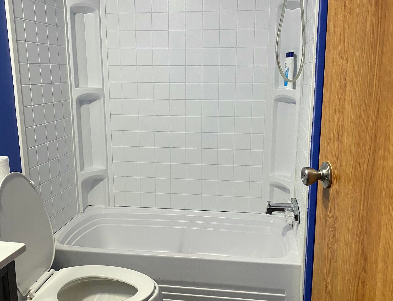 1204 Hancock St Potterville, MI 48876 | New build