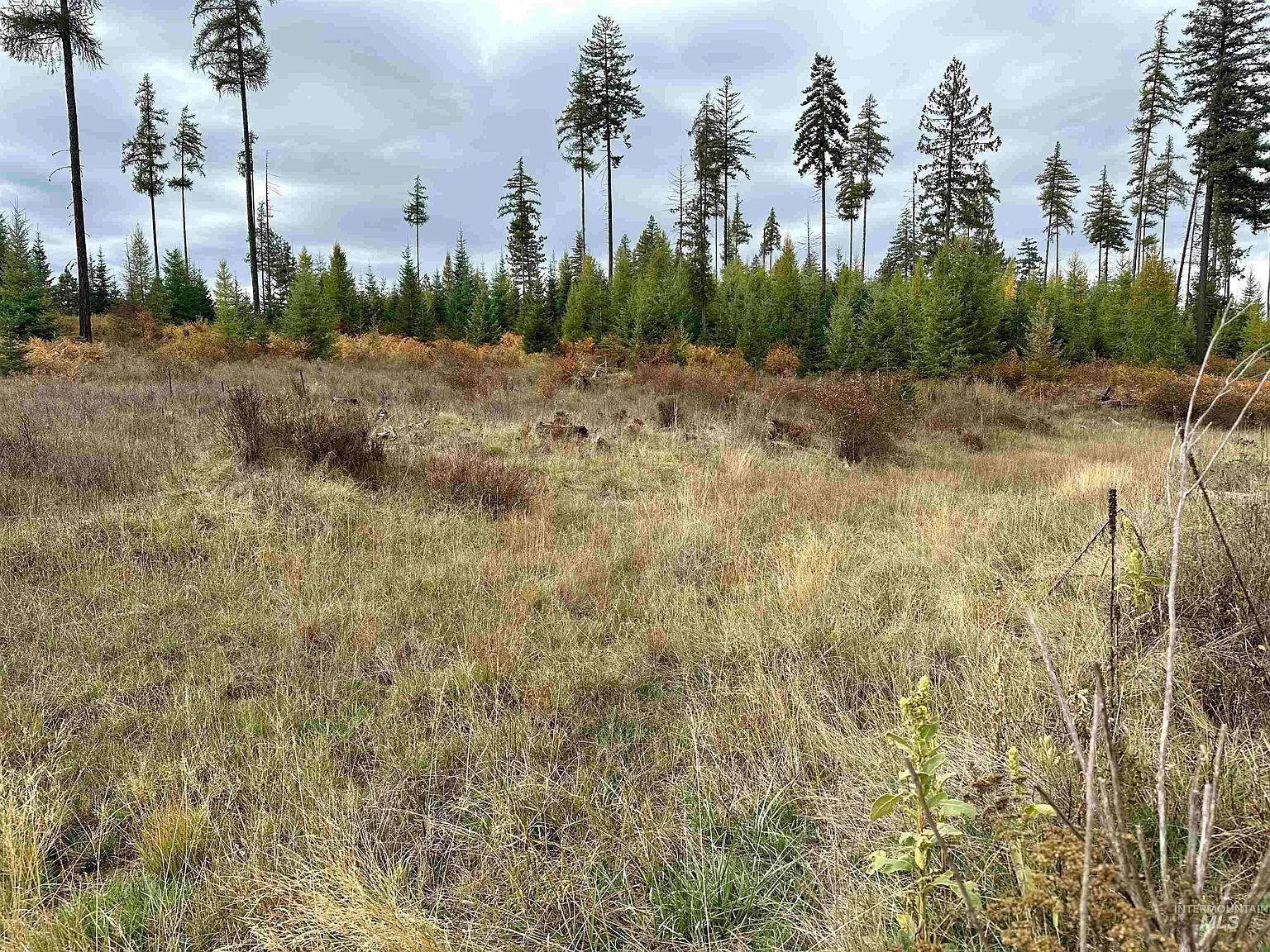 PARCEL 3 Peaceful Valley Rd Kamiah, ID 83536  | Land/Lot