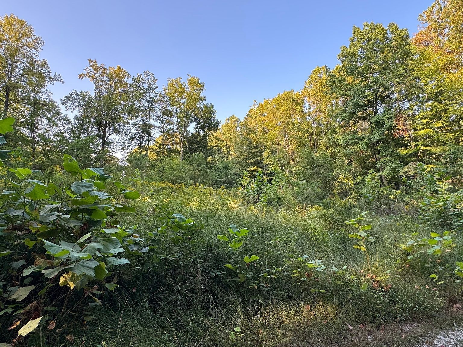 0 S Paradise Bay Blvd Rockville, IN 47872  | Land/Lot