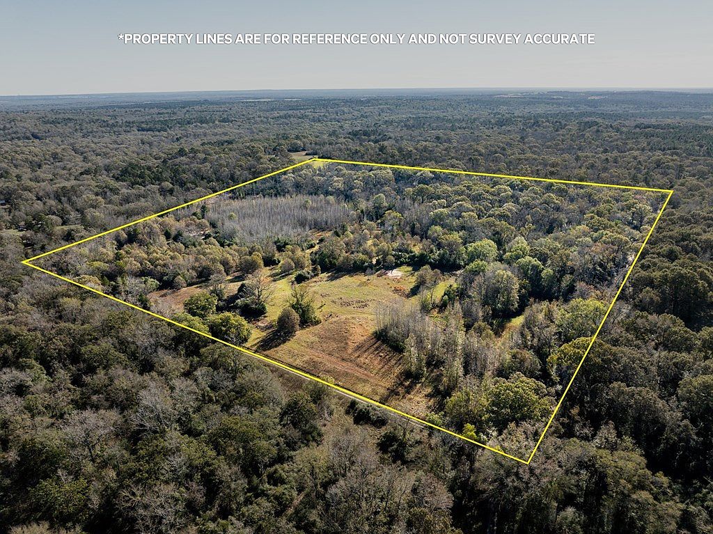 Fm 831 Oakwood, TX 75855 | Land/Lot