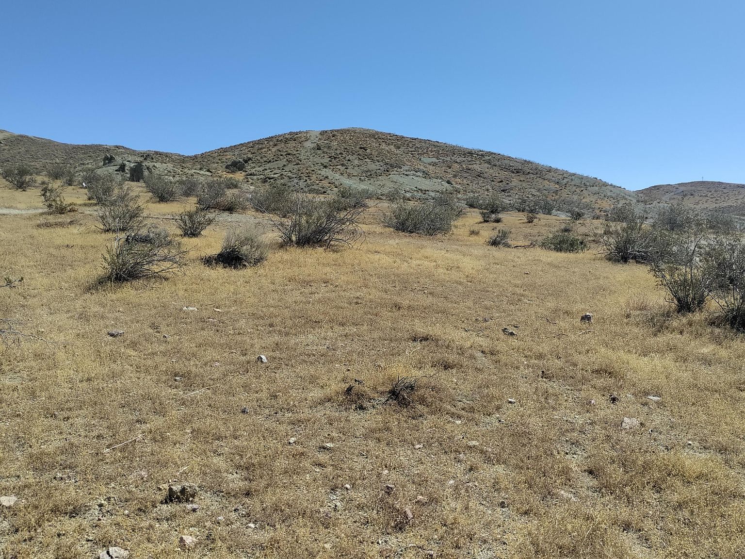 Clark St Rosamond, CA 93560 | Land/Lot