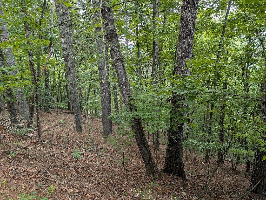 0 Chestnut Hill Dr Franklin, NC 28734  | Land/Lot