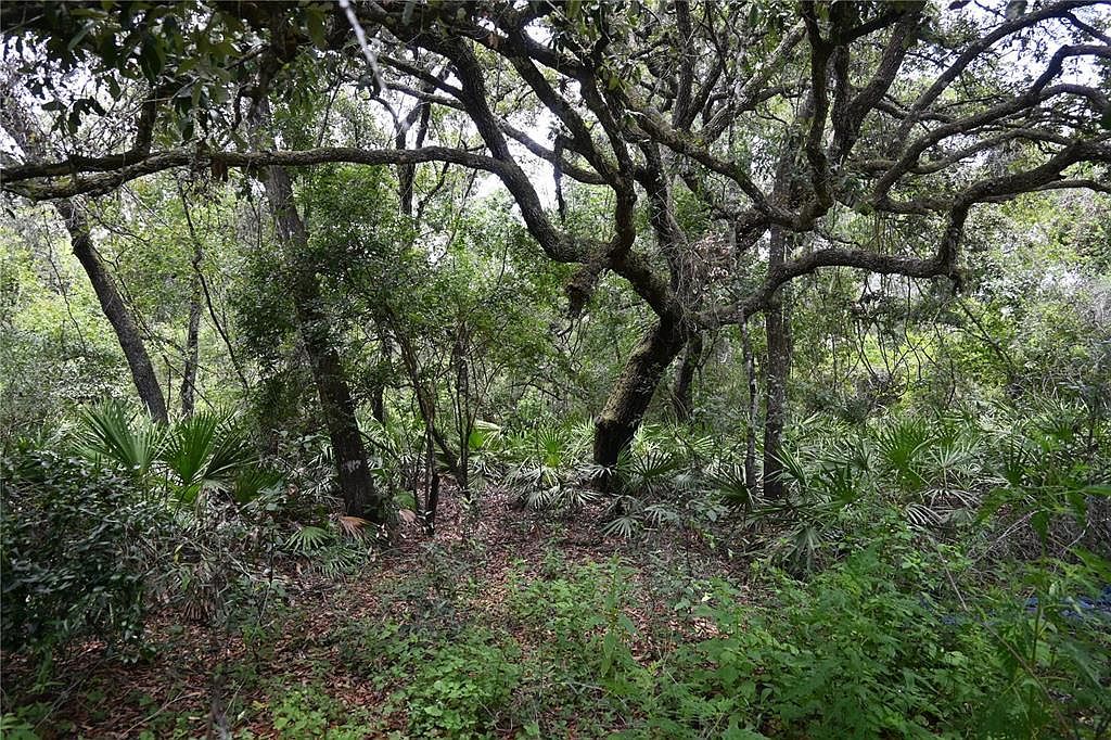 0 Cyril Dr #14 Dade City, FL 33523  | Land/Lot