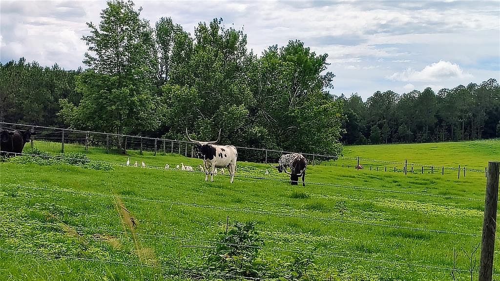 0 Hilltop Horizons Pl LOT 10 Dade City, FL 33523  | Land/Lot