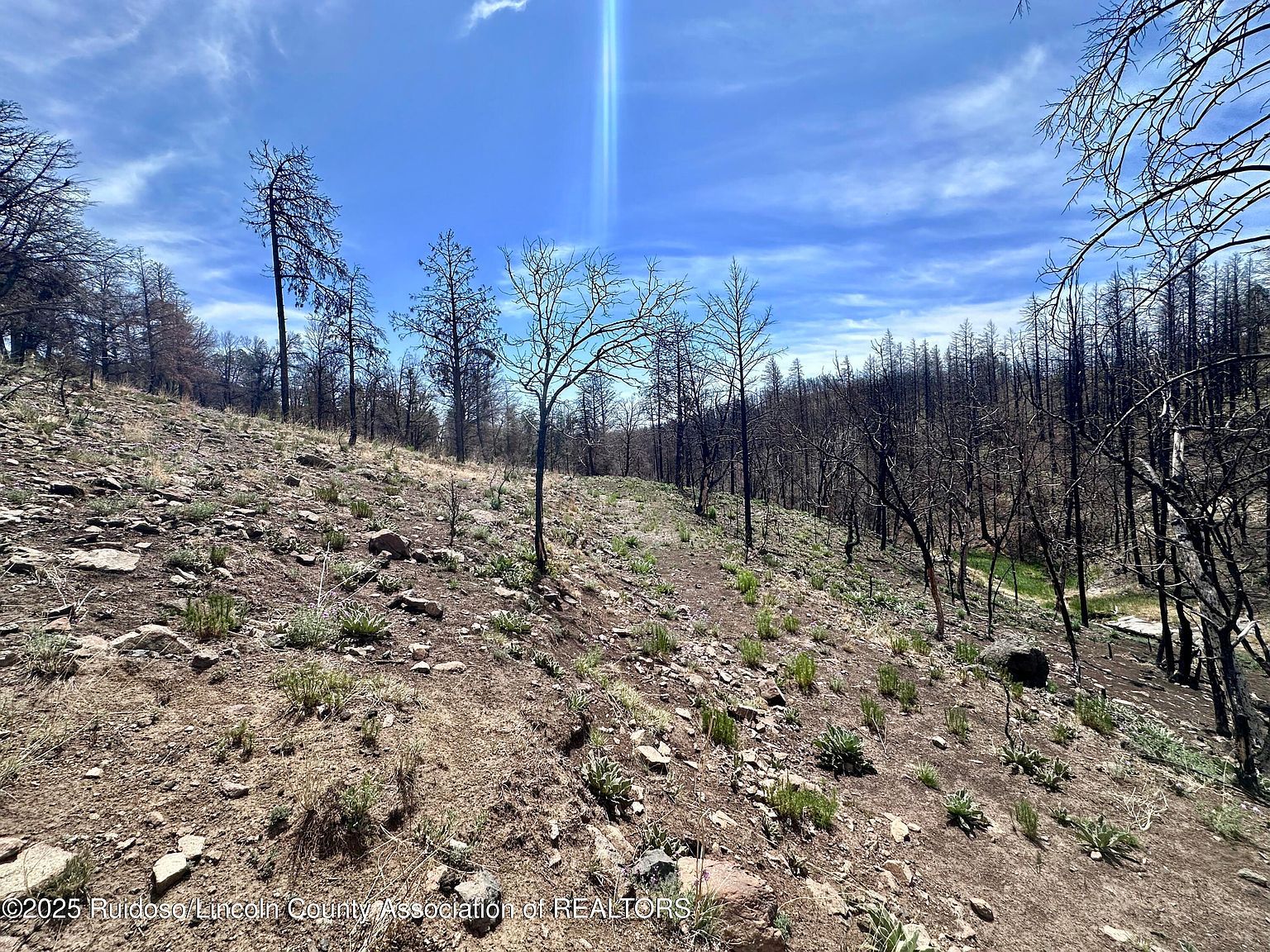 11 Alpine Village Rd Ruidoso, NM 88345 | Land/Lot