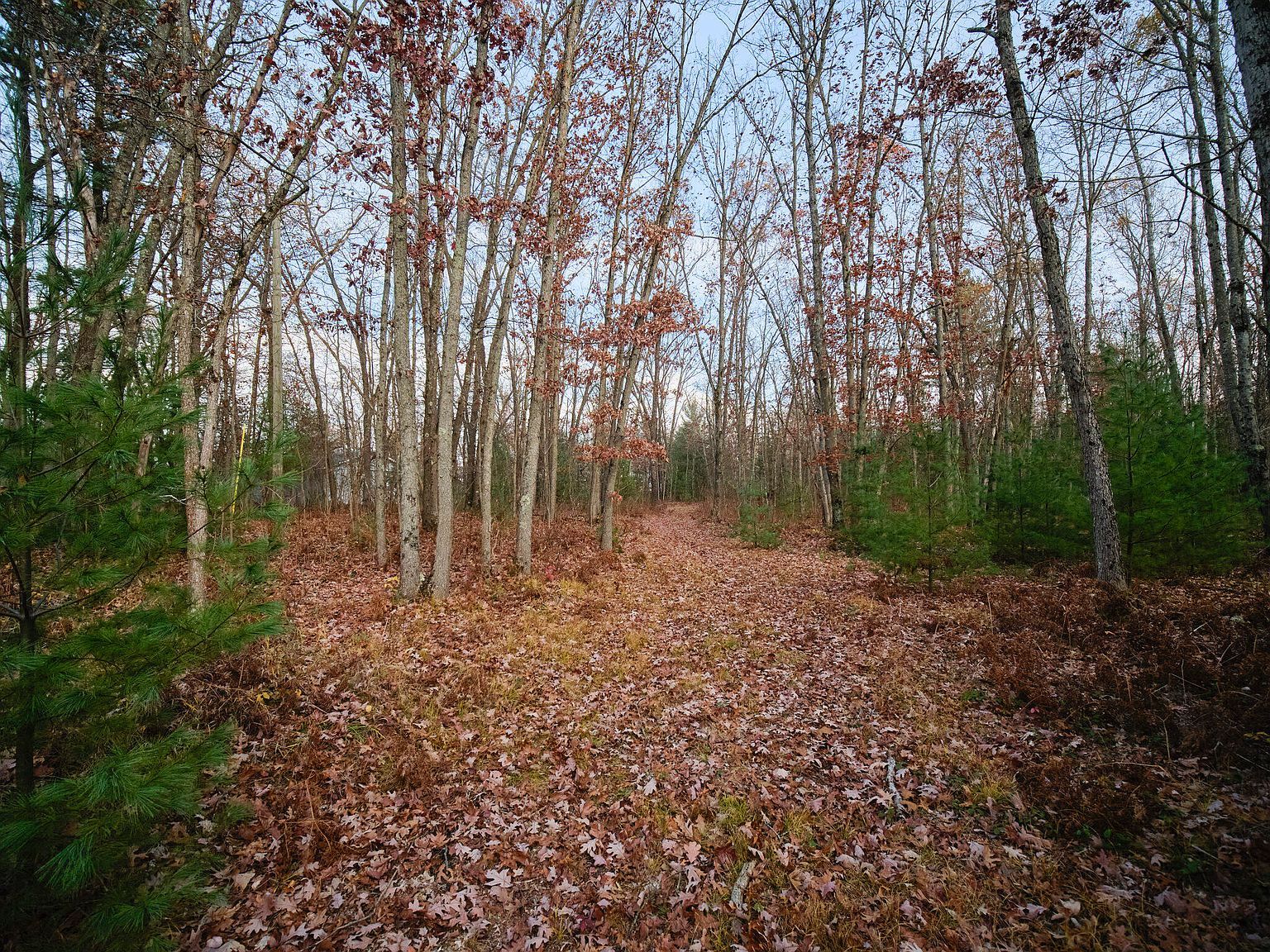 626 Skocelas Rd N Manistee, MI 49660 | Single Family