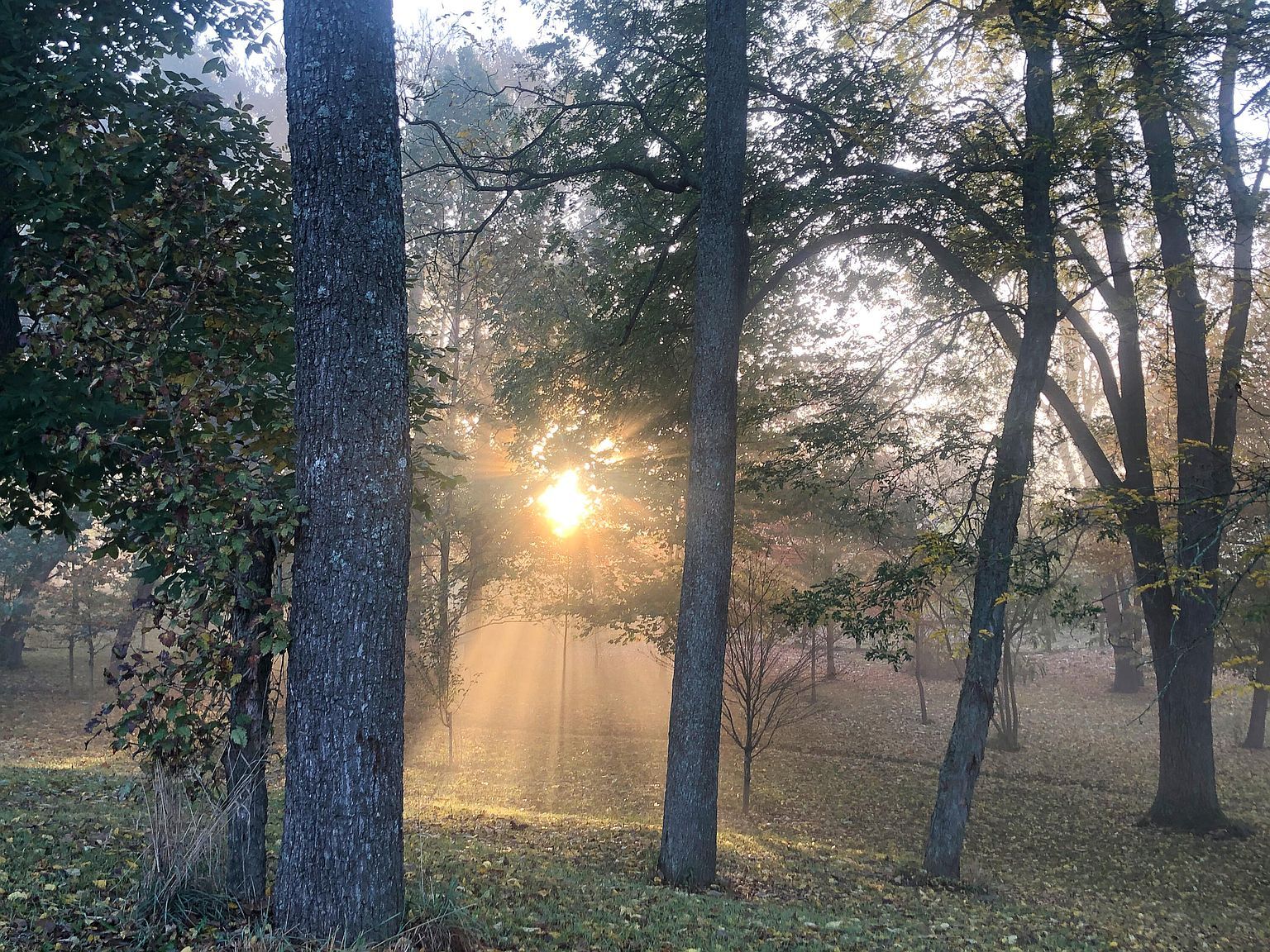 106 Sand Piper Ct Midway, KY 40347  | Single Family