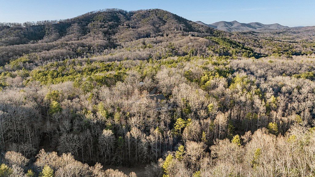 178 Arp Rd Mineral Bluff, GA 30559  | Single Family