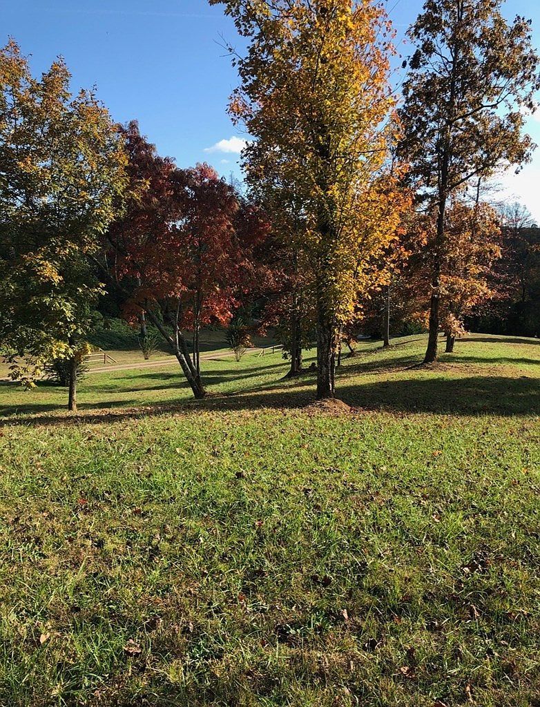 6670 Highway 294 Murphy, NC 28906 | Single Family