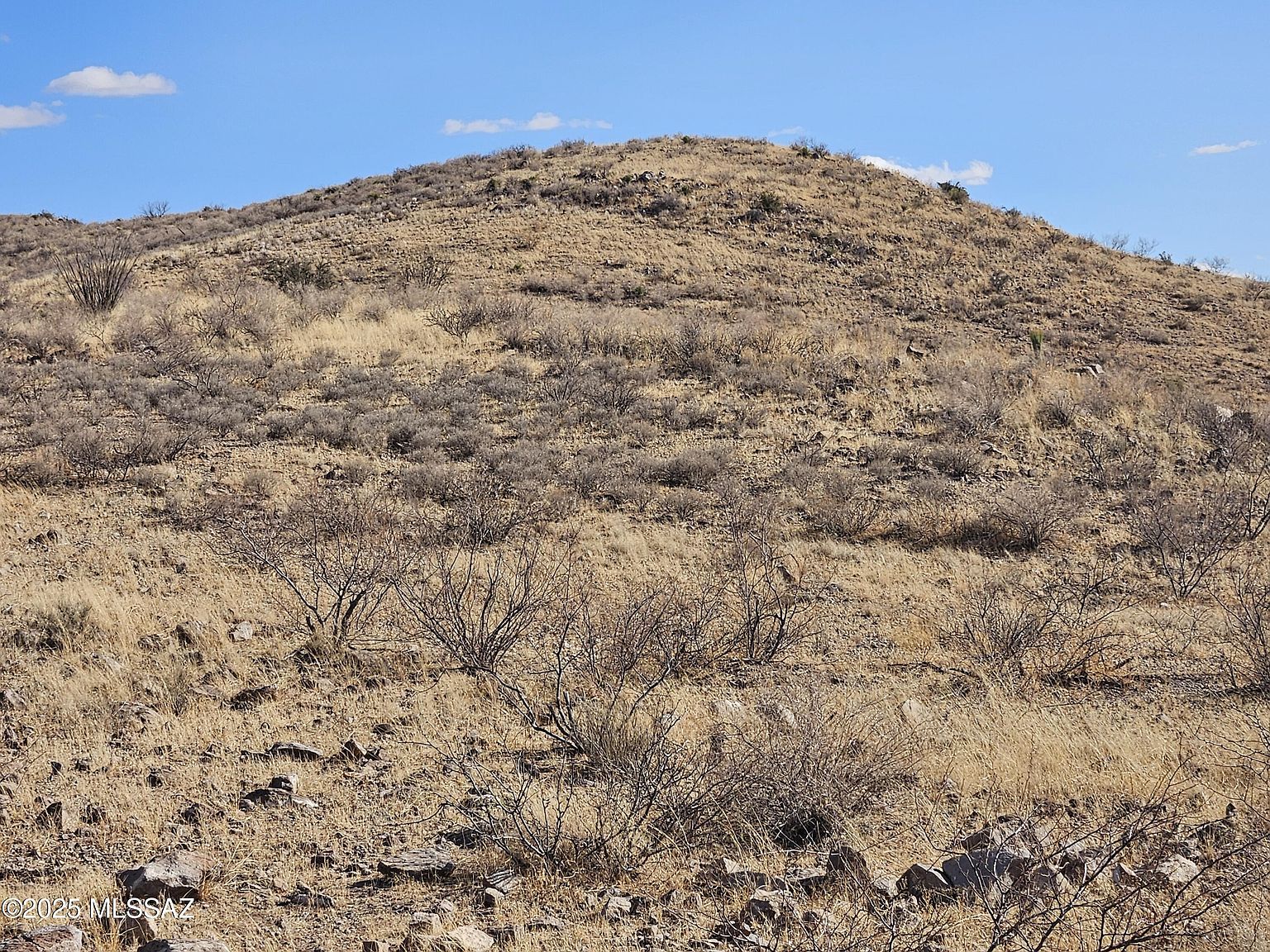 Indian Ridge Rd Willcox, AZ 85643  | Land/Lot