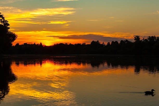 24 Cote Ln Sutton, MA 01590 | Single Family