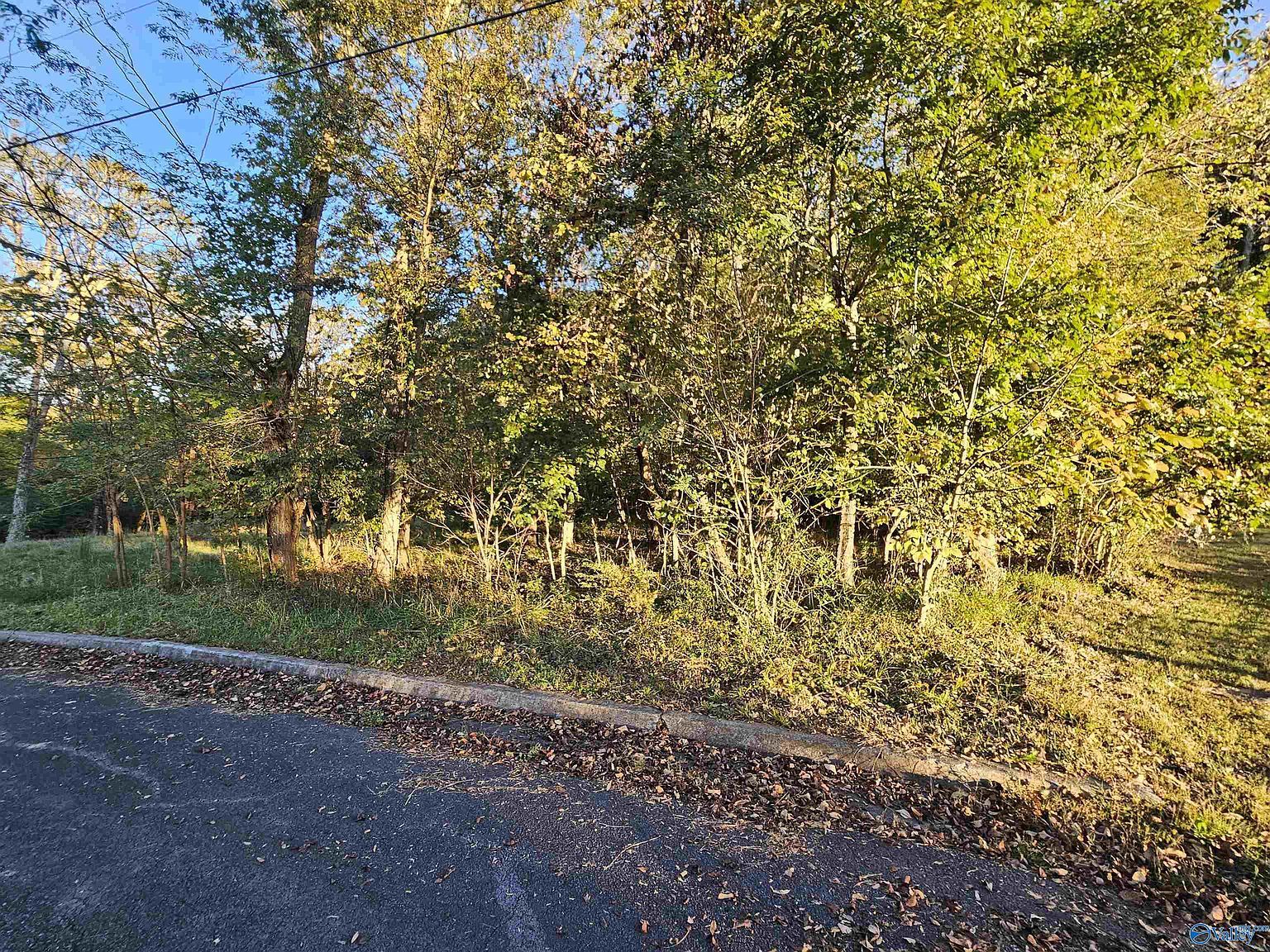 6423 Dogwood Ln NW Fort Payne, AL 35967  | Land/Lot