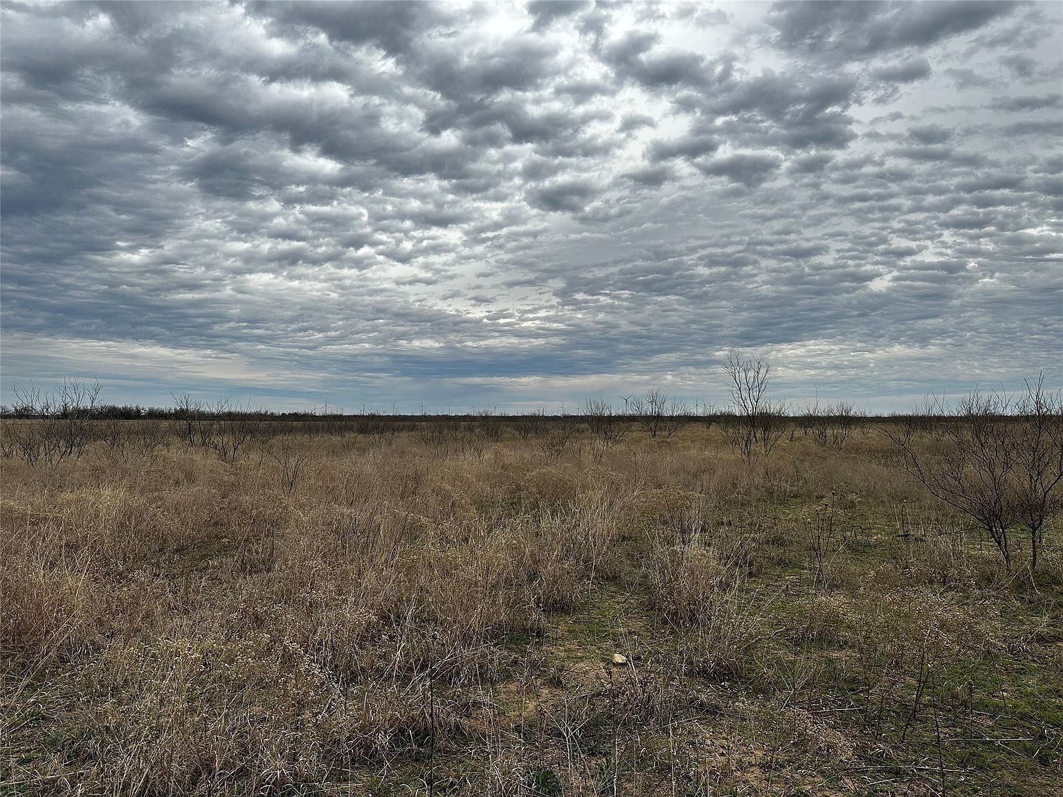 TRACT 11 County Road 152 Abilene, TX 79601 | Land/Lot
