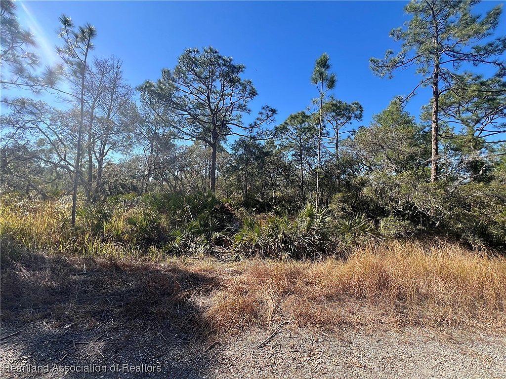 646 Jonathan St Lake Placid, FL 33852  | Land/Lot