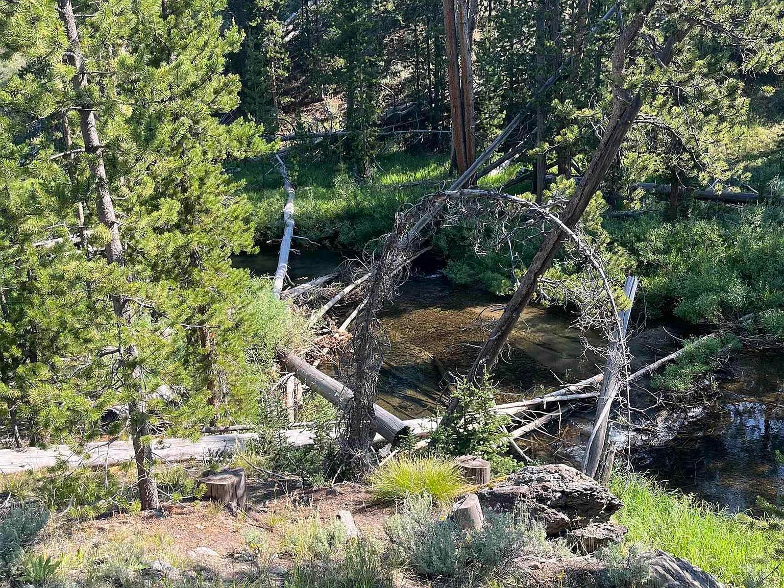 773 Smiley Creek Rd Sawtooth City, ID 83340  | Land/Lot