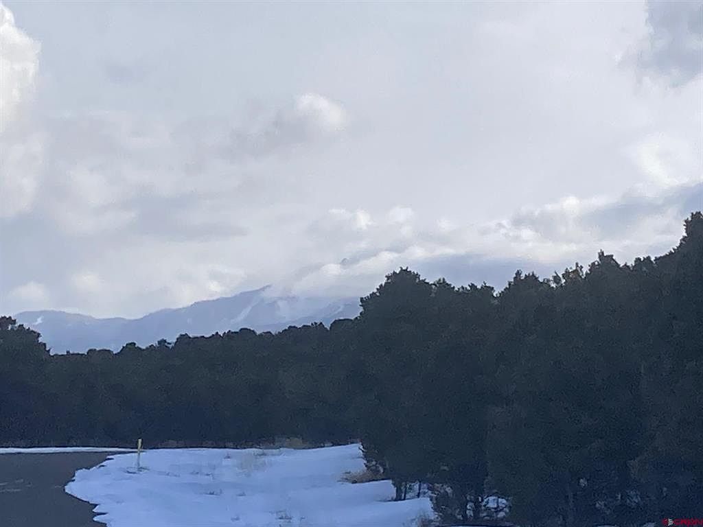 LOT 2 Snowberry Ln Ridgway, CO 81432  | Land/Lot