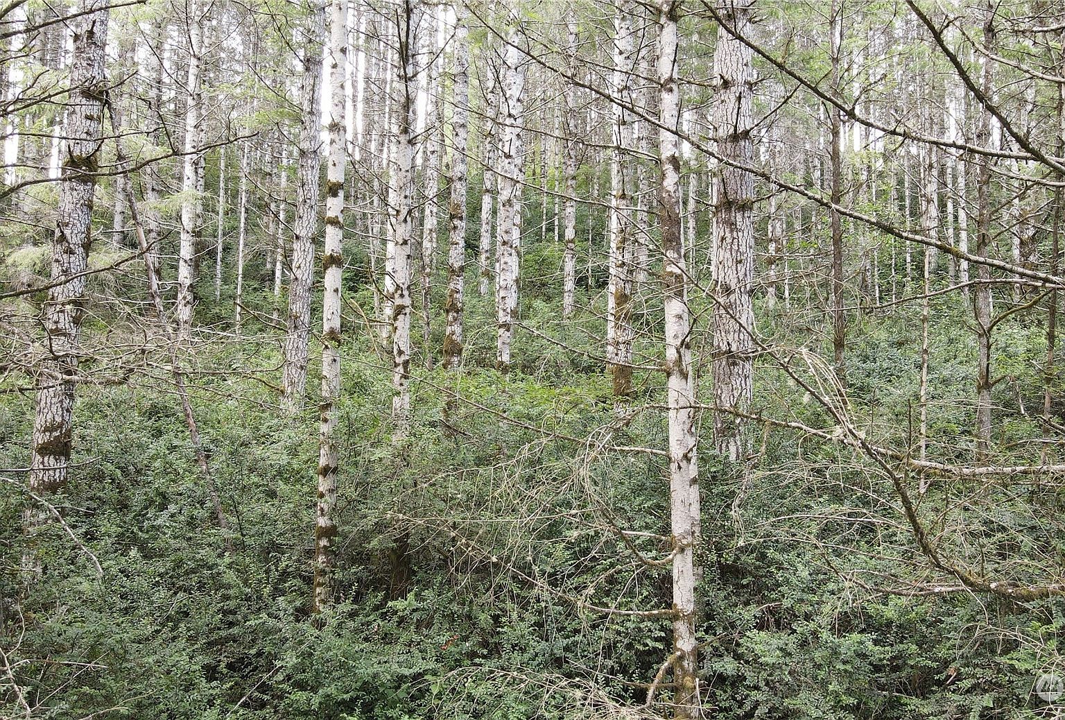 1400 E Jensen Rd Shelton, WA 98584 | Land/Lot