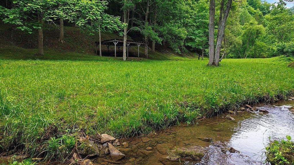 Tbd Thompson Creek Rd Honaker, VA 24260 | Land/Lot