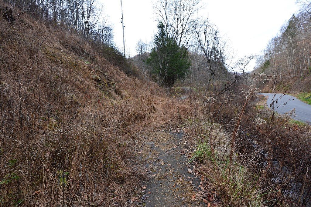 1067 Red Dog Rd Grundy, VA 24614 | Land/Lot