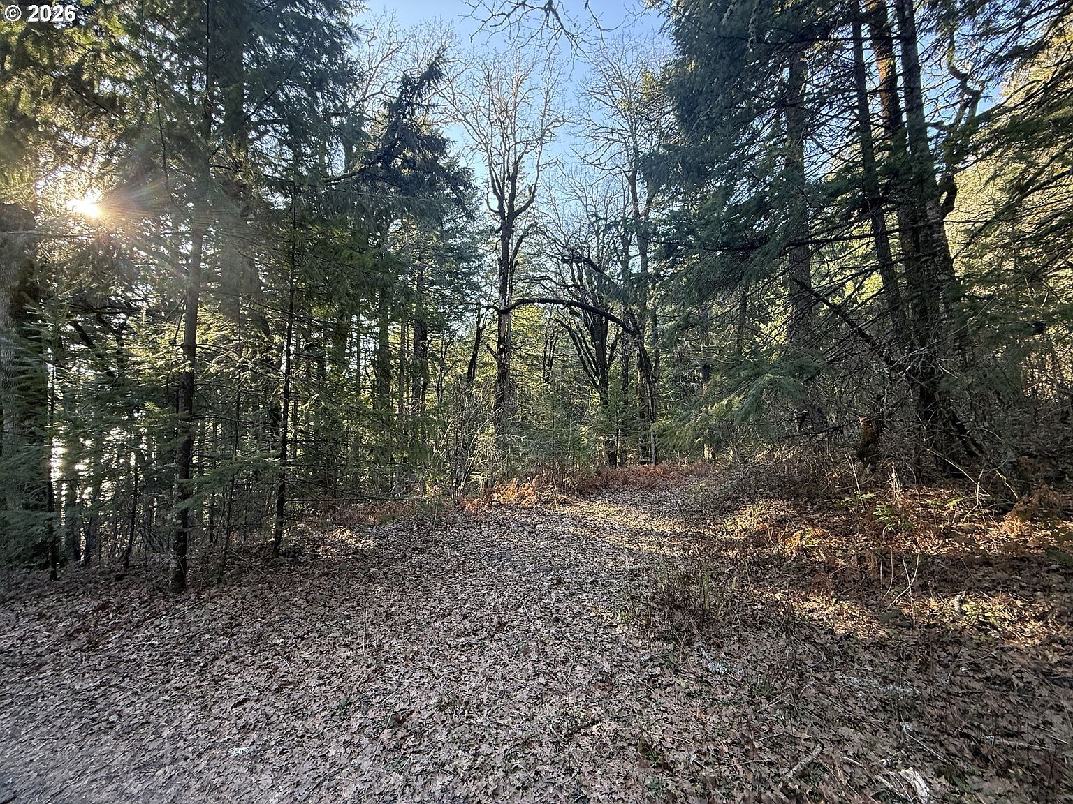 Seward Rd Carson, WA 98610  | Land/Lot