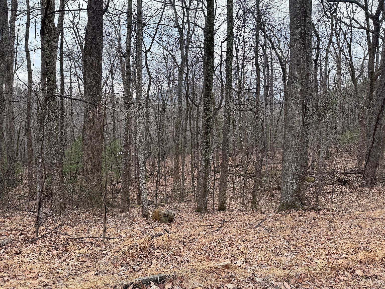LOT 38 Weatherwood Dr Big Island, VA 24526  | Land/Lot