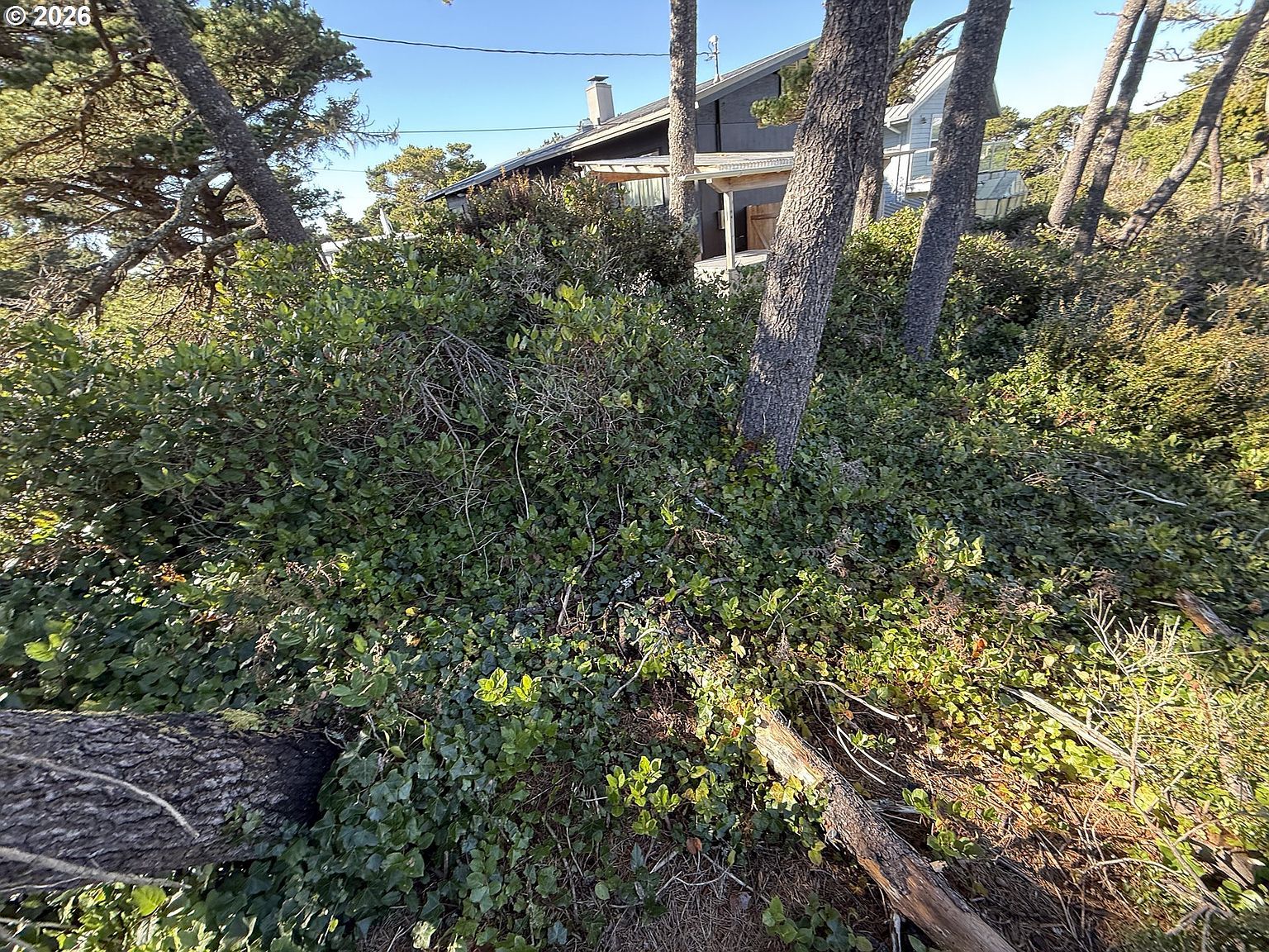 Arago St #2902 Florence, OR 97439 | Land/Lot