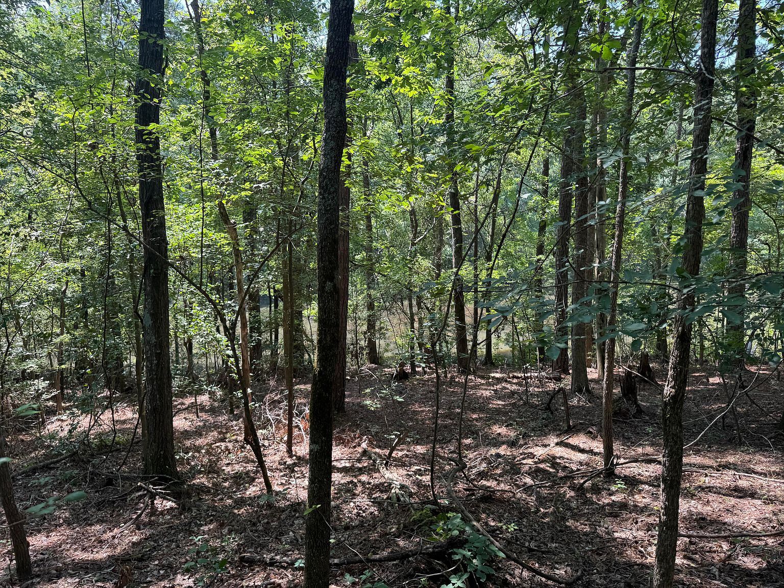 2 Cardinal Dr Trenton, SC 29847  | Land/Lot