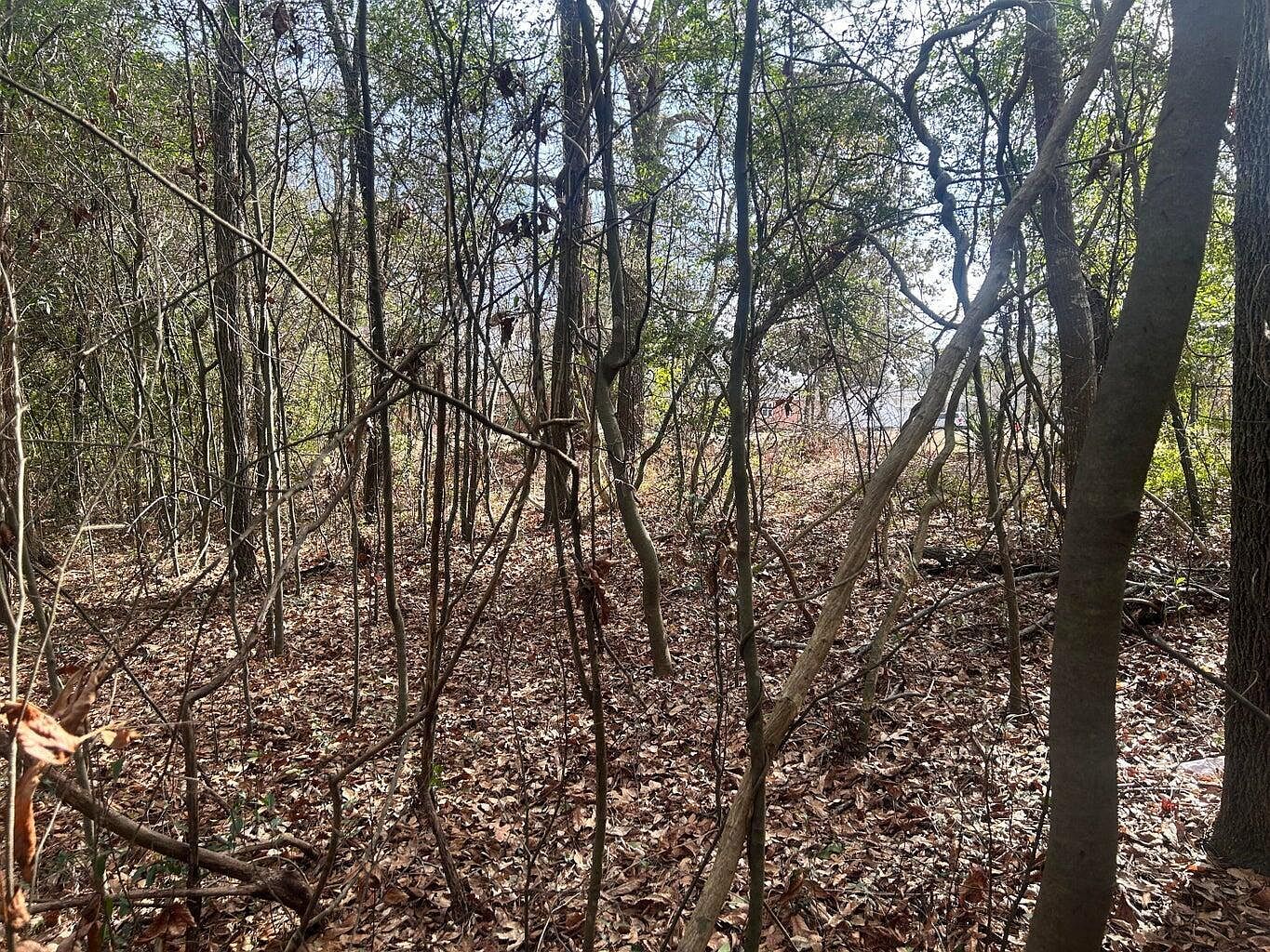 0 Robinson Dr New Ellenton, SC 29809  | Land/Lot