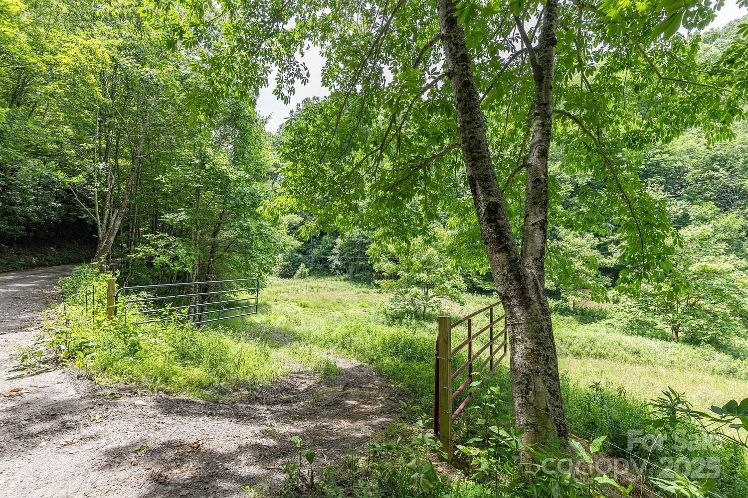 99999 Sugar Camp Rd Marshall, NC 28753  | Land/Lot