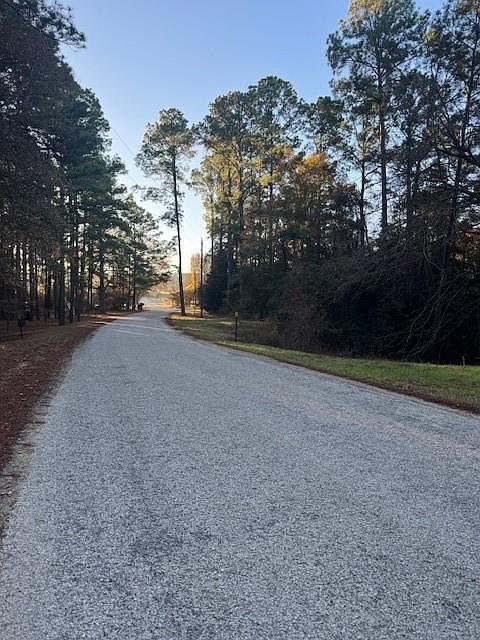 103 Lake Point Way Bastrop, TX 78602  | Land/Lot