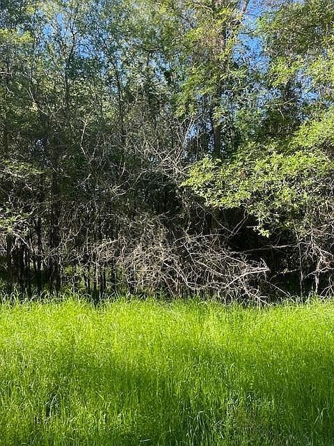 LOT 786 Kaukonahua Ln Bastrop, TX 78602  | Land/Lot